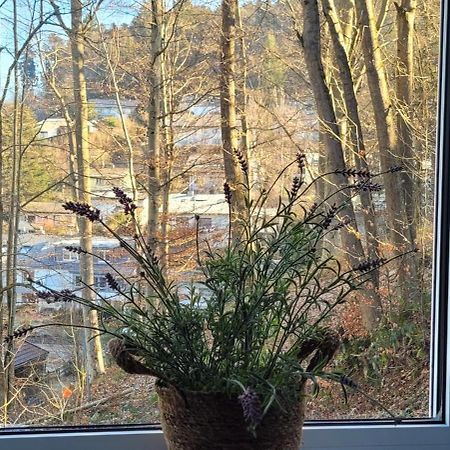 Am Wald Apartamento Waldkirch Exterior foto