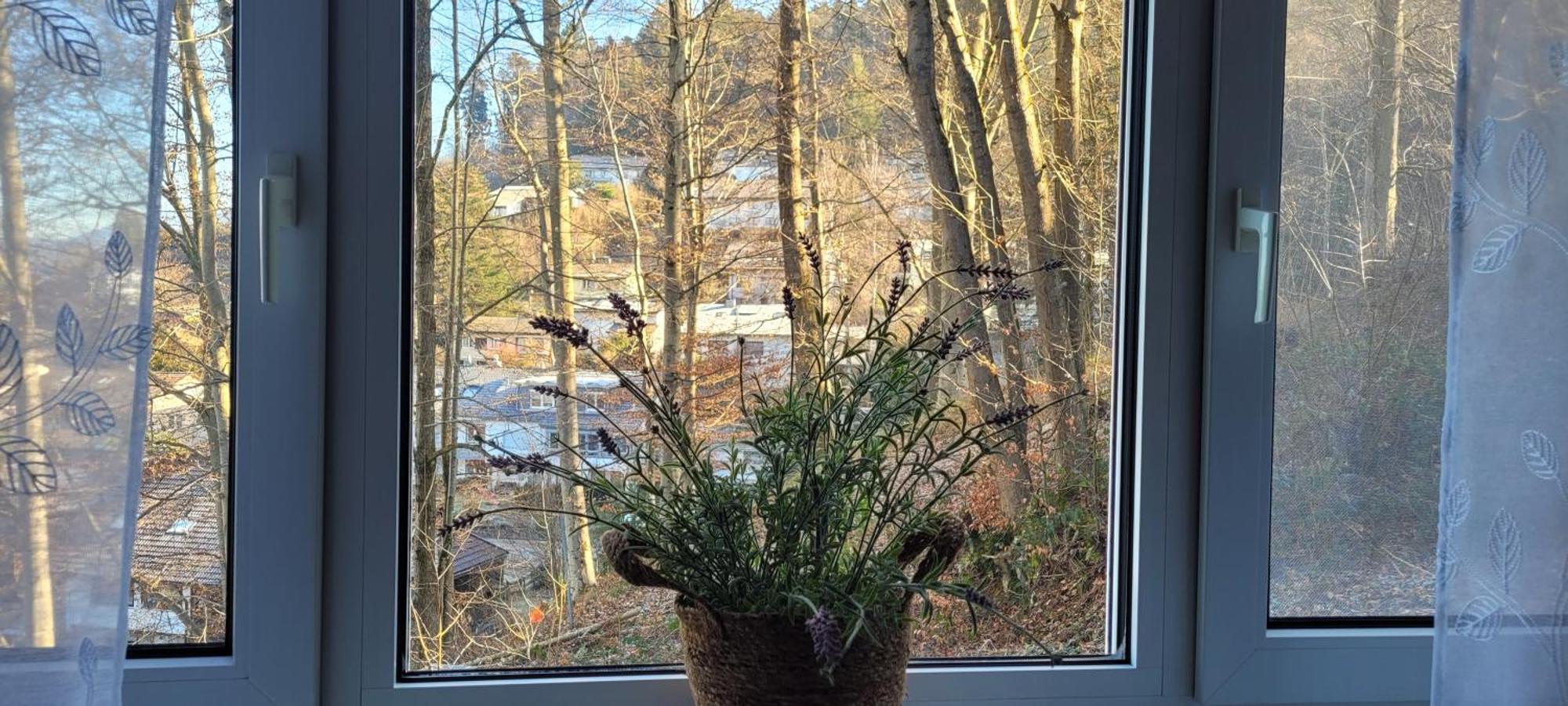 Am Wald Apartamento Waldkirch Exterior foto